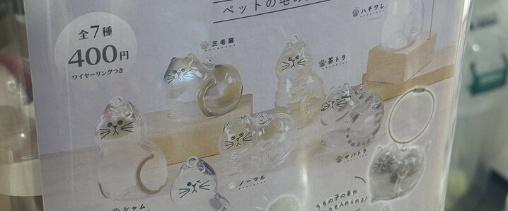 momochikoになりました。未使用ダントン 楽天市場】ダントン パンツ（柄チェック）（メンズファッション