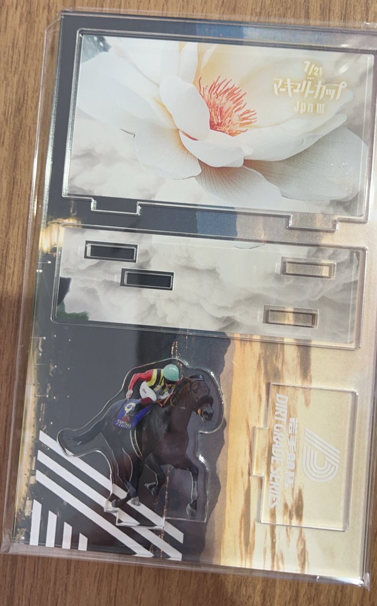 不来方賞 クラスターカップ サンライズジパング ドンフランキー