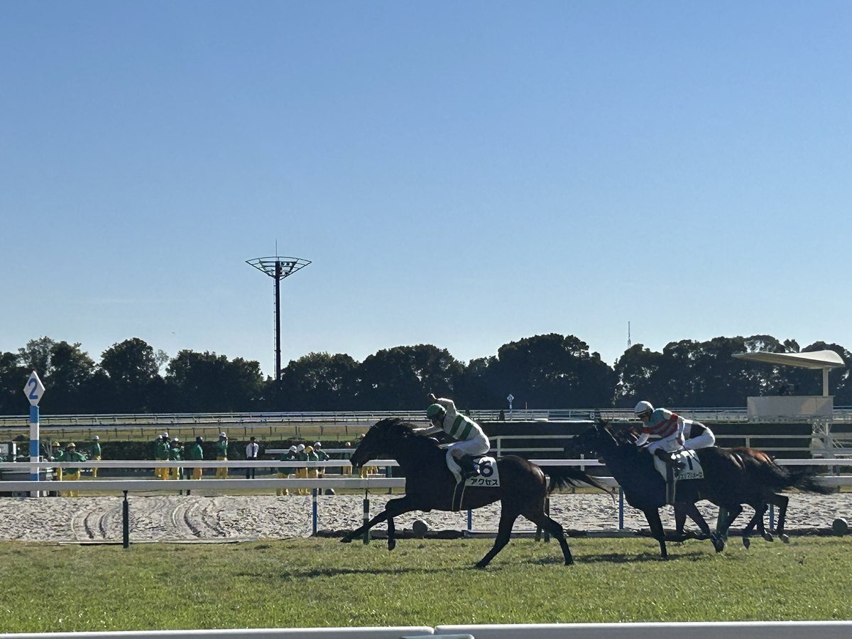 キセキ産駒アクセス、デビュー戦で勝利！