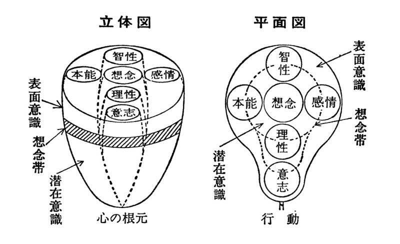 AI判定で毒キノコ誤認、和歌山市の男性が入院