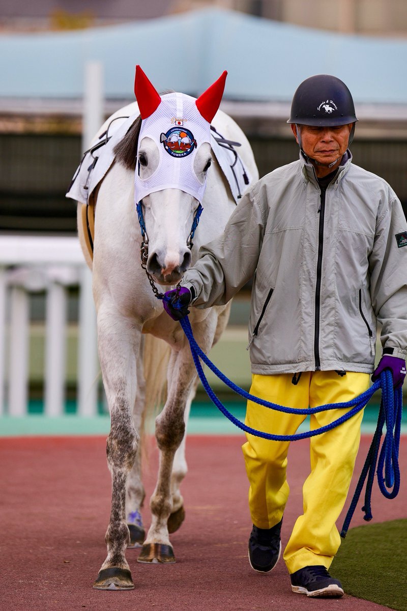 ドゥワー、園田競馬で差し切り勝ち！ファン興奮！