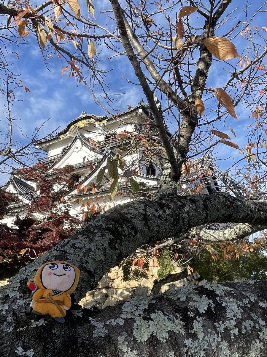 lovehiko」のYahoo!リアルタイム検索 - X（旧Twitter）をリアルタイム検索