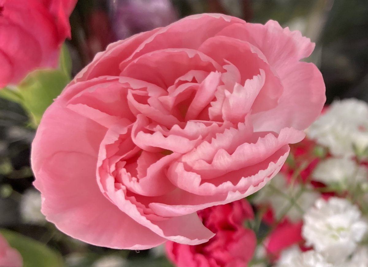 11月3日は何の日？ 