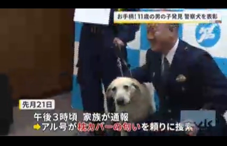警察犬が活躍！行方不明の男の子を発見した
