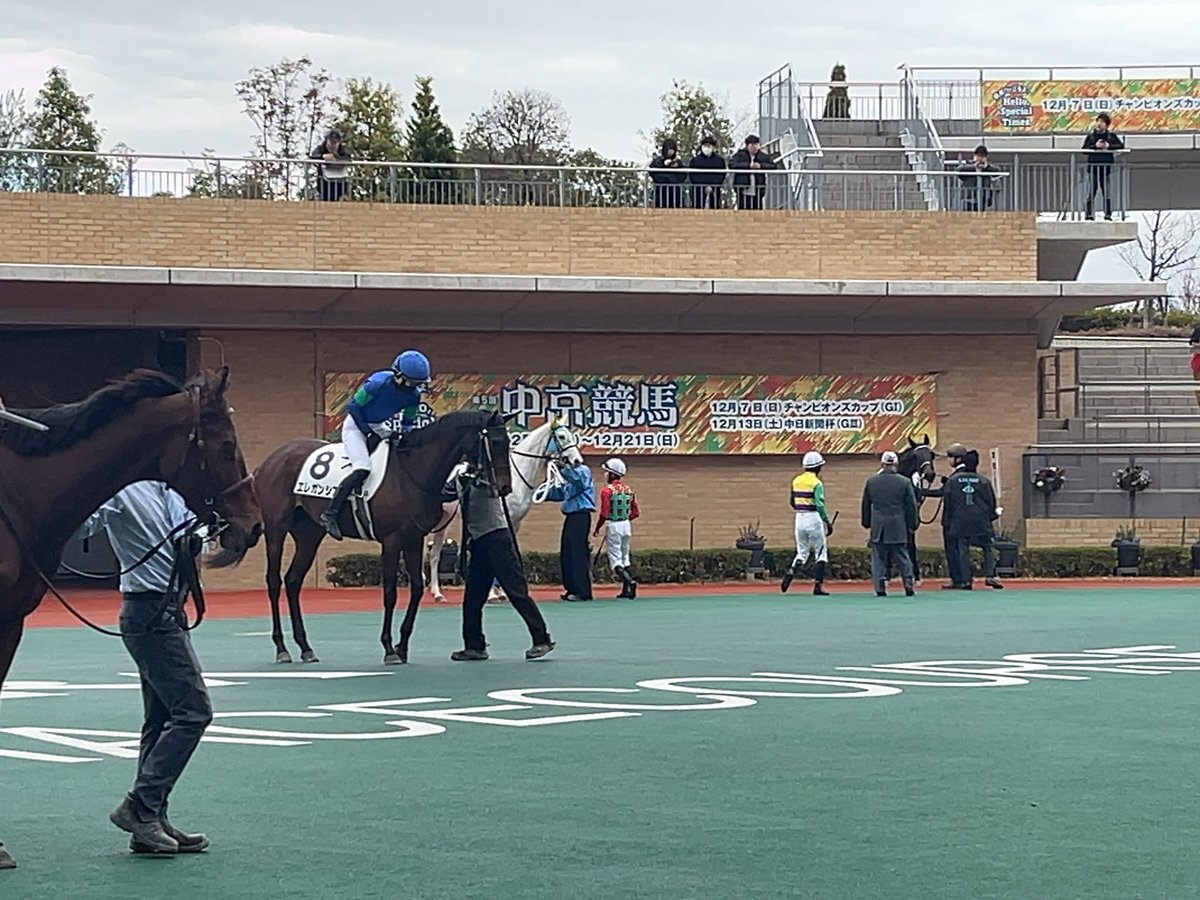 エレガンシア、惜敗も2着でファン期待高まる