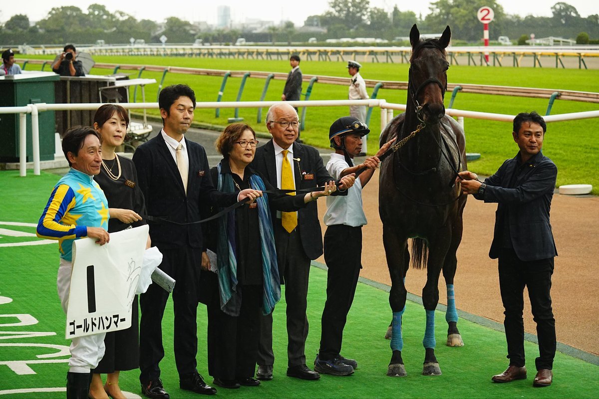 東京競馬でゴールドハンマーが勝利！ 注目されたレースは？