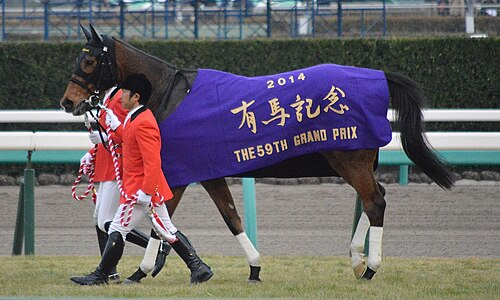 ジェンティルドンナ、ノーザンホースパークで献花台設置へ 