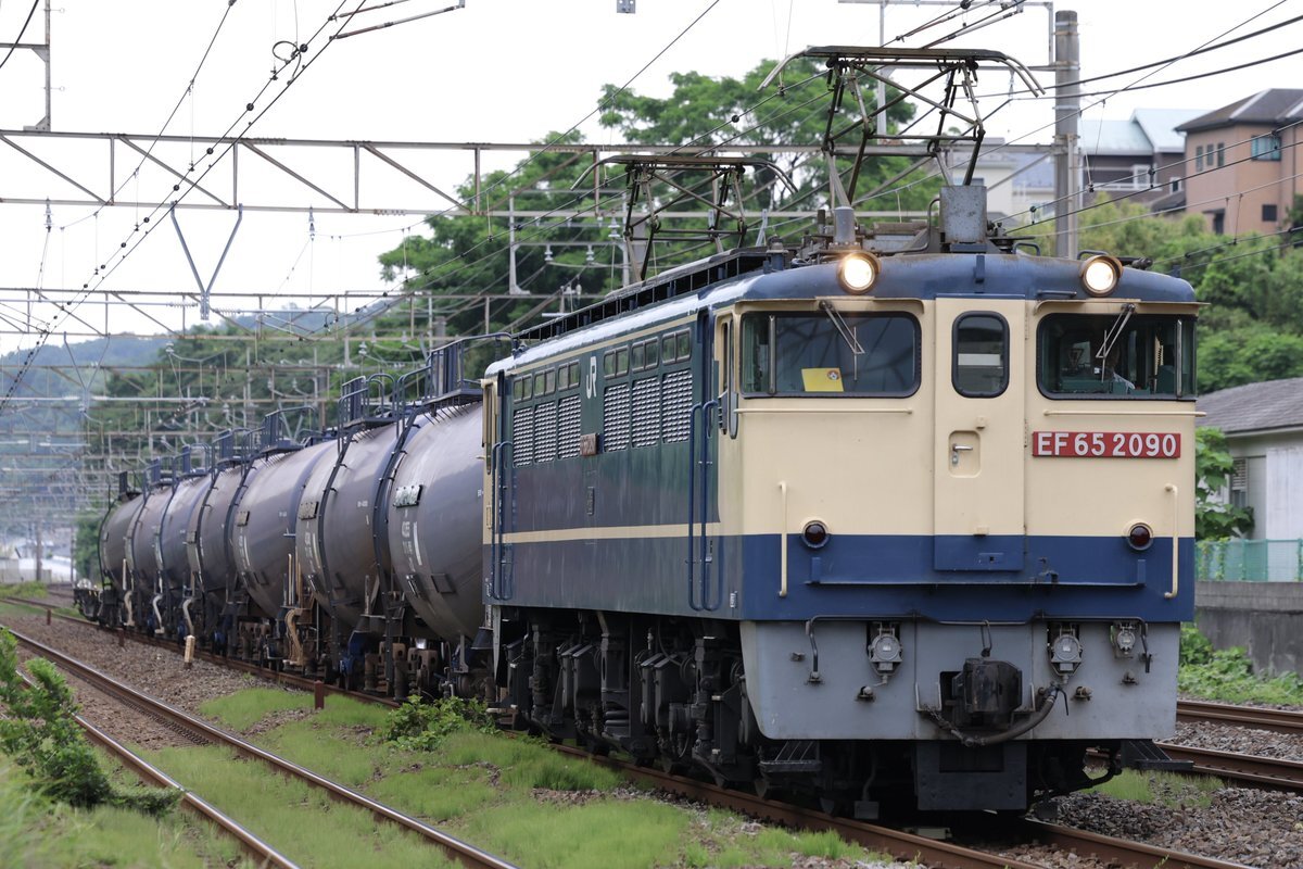 峯岸みなみ ランチパック