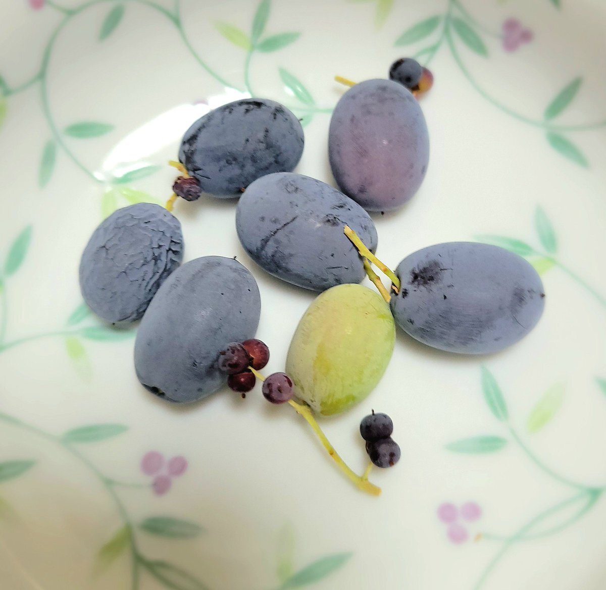 天心vs拓真！ボクシングファン興奮、予想は？ 