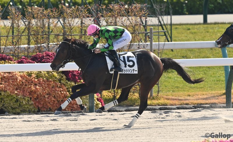 ポッドドンナー、京都6Rを制しファンを沸かせる