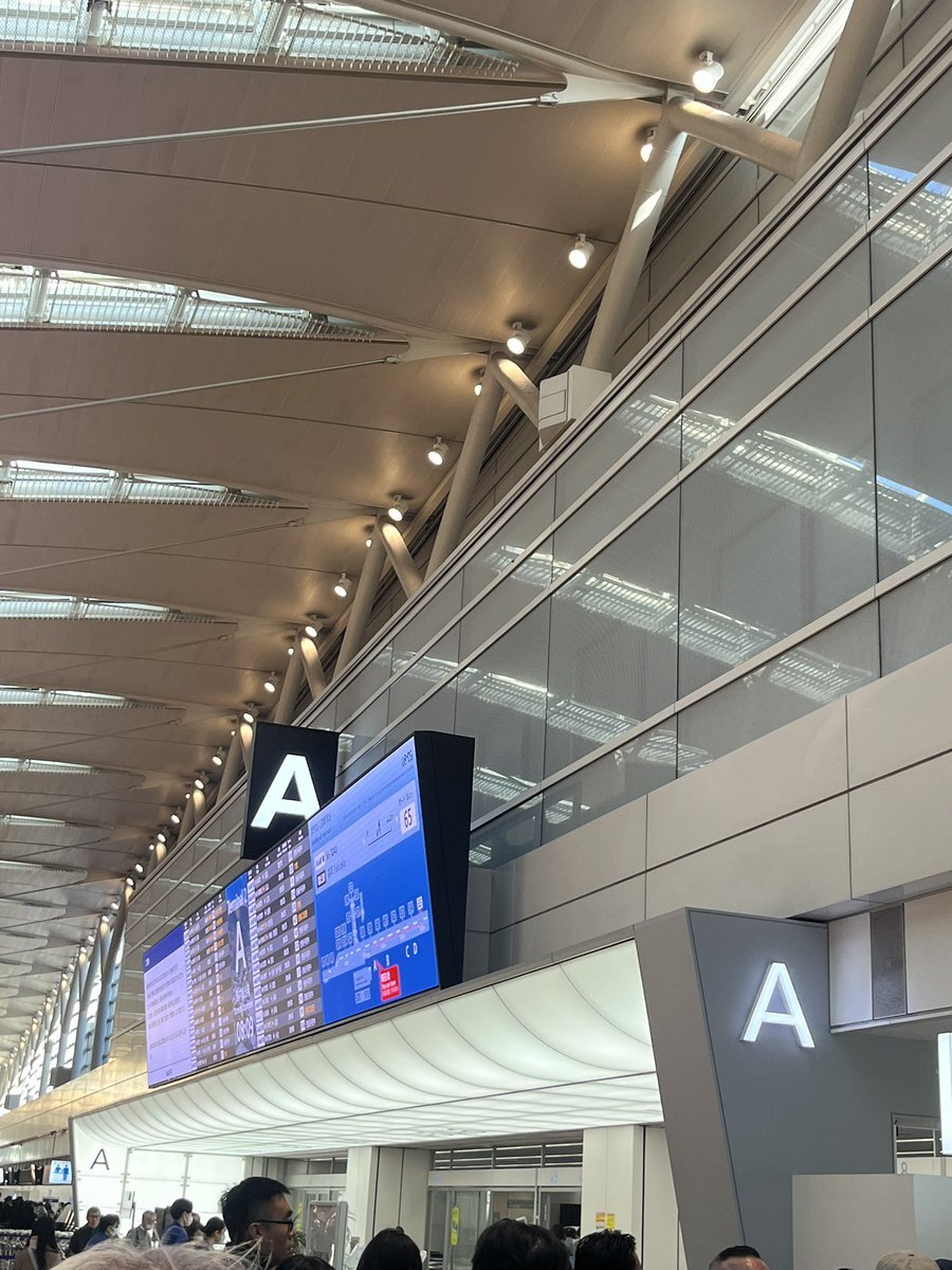 ANA欠航で旅行者困惑、SNSで情報交換