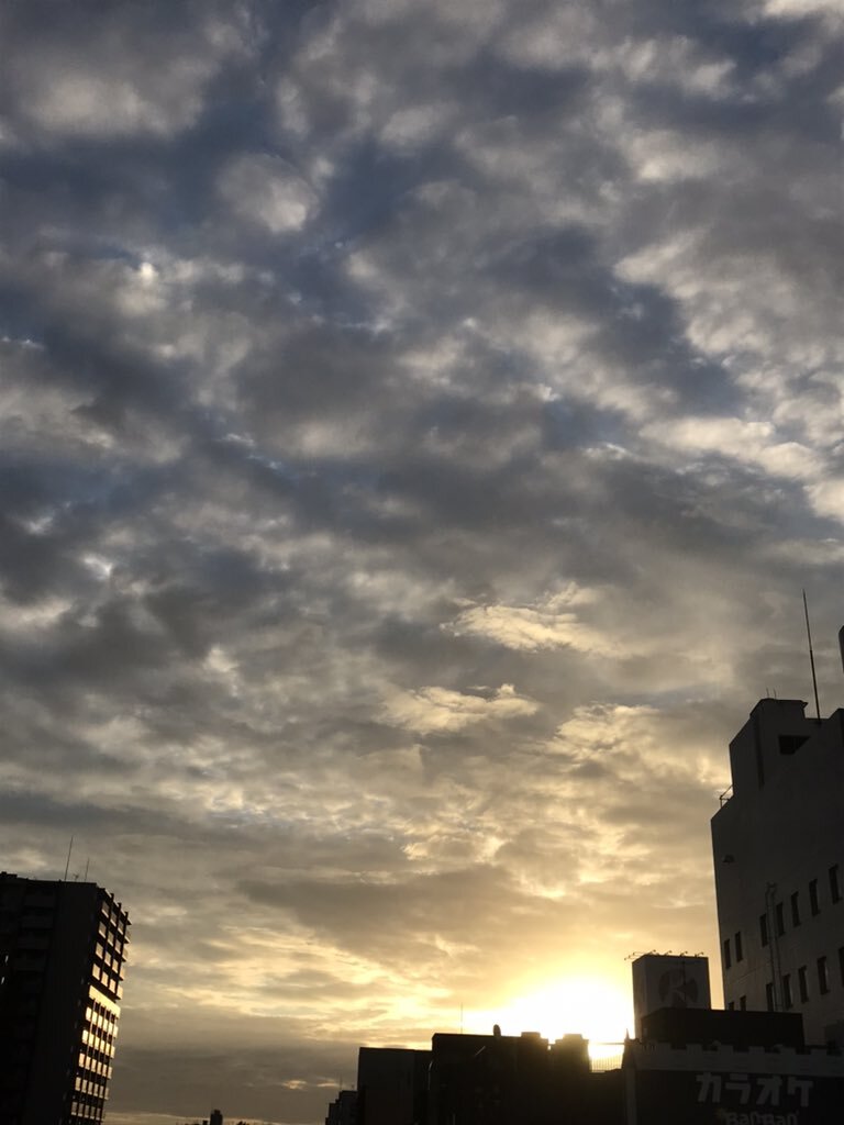 火曜日の投稿、どんな気持ち？