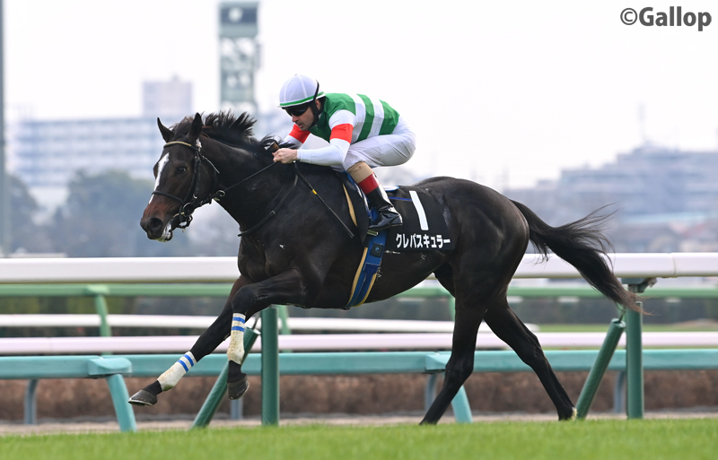 クレパスキュラー、ひいらぎ賞で圧勝！ 2歳世代の期待株に