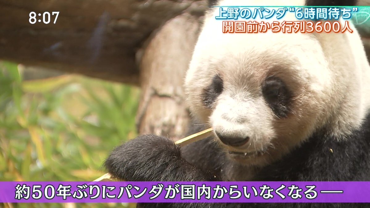 サンデーモーニング、中国渡航自粛や物価上昇など話題に批判の声