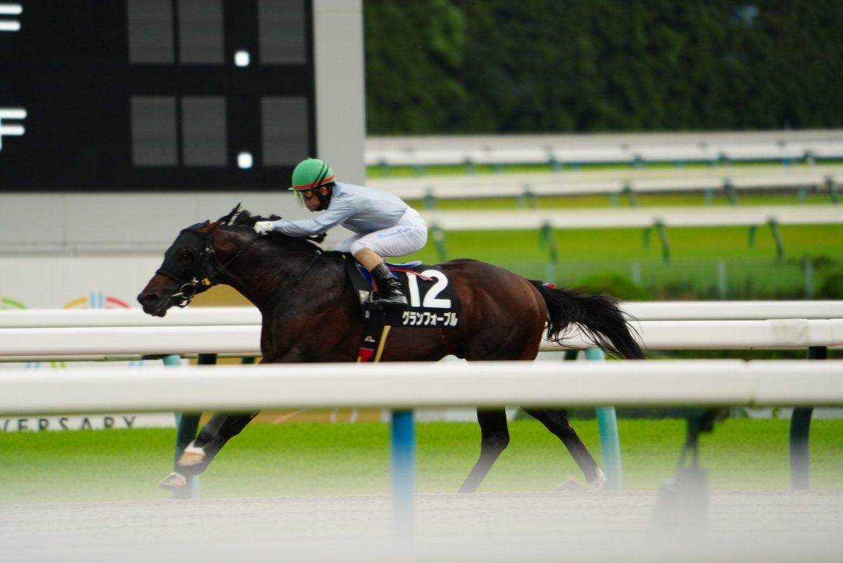 酒井学騎手、グランフォーブルで勝利なるか？