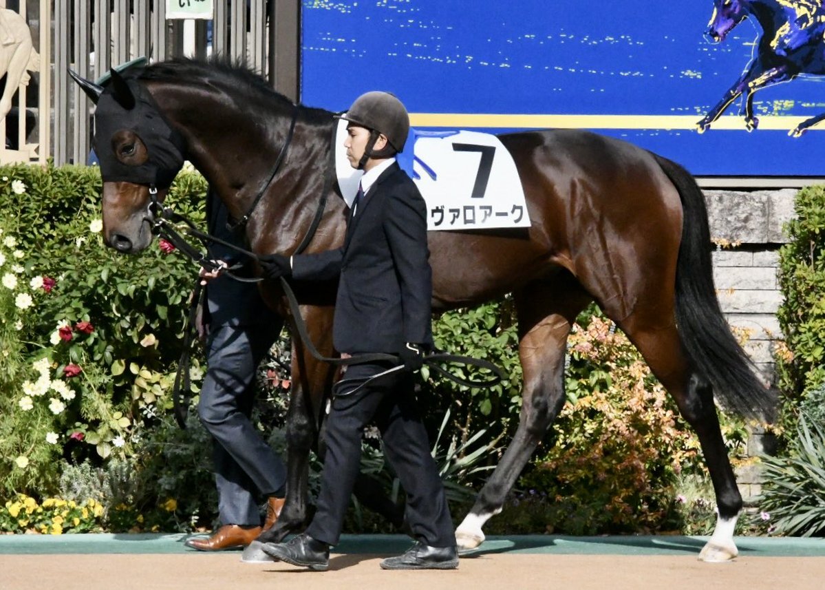 レイデオロ産駒ヴァロアーク、デビュー戦で圧巻の差し切り勝利！ 