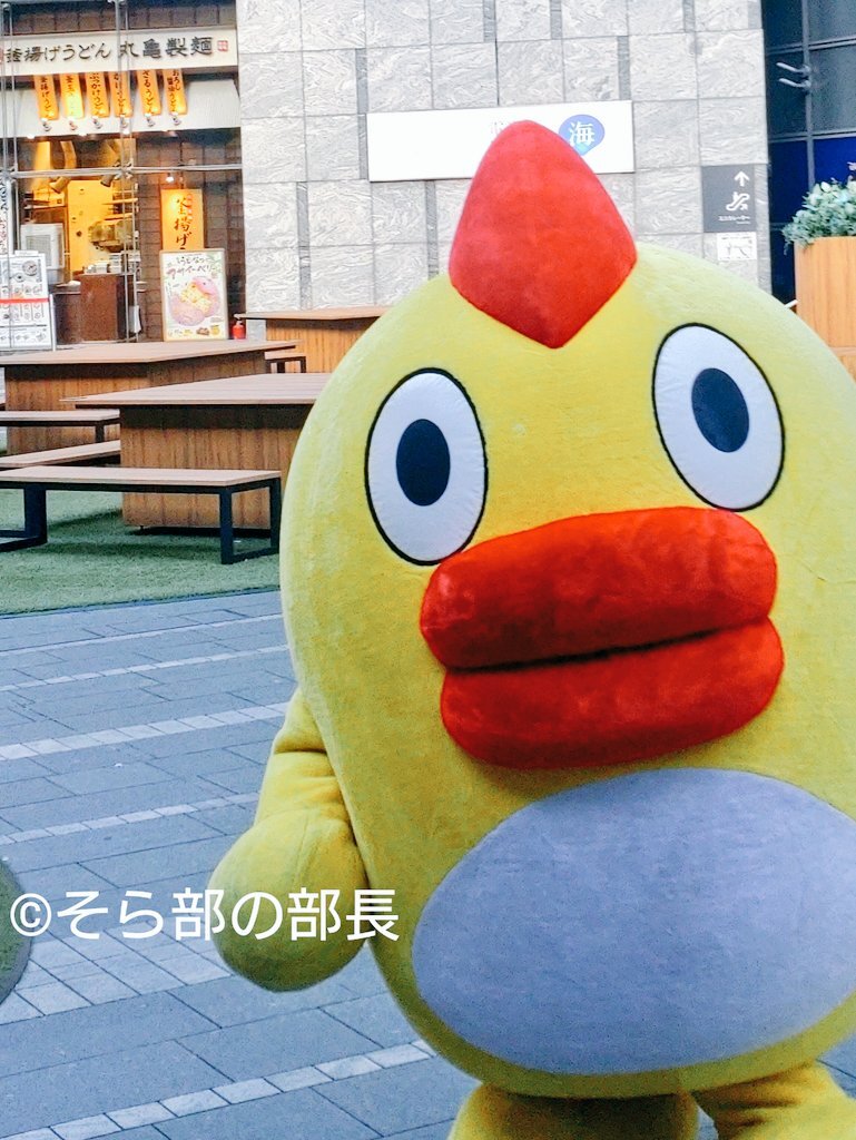 そらジロー」のYahoo!リアルタイム検索 - X（旧Twitter）を