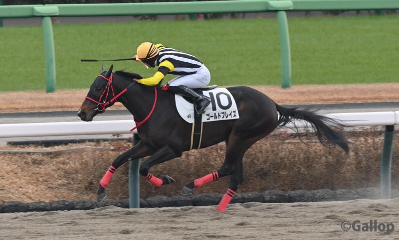 ゴールドブレイズ、中山新馬戦で圧勝！荻野極騎手も絶賛