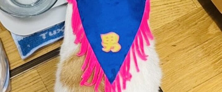 アオアシ 当選品 直筆イラスト サイン 懸賞 ポスター 漫画 アニメ マンガ アオアシ 当選品 直筆イラスト サイン 懸賞 ポスター 漫画