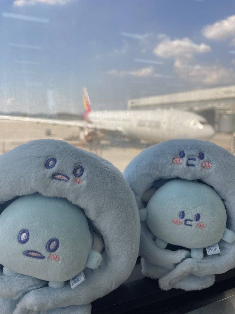 super junior グッズ」のYahoo!リアルタイム検索 - X（旧Twitter