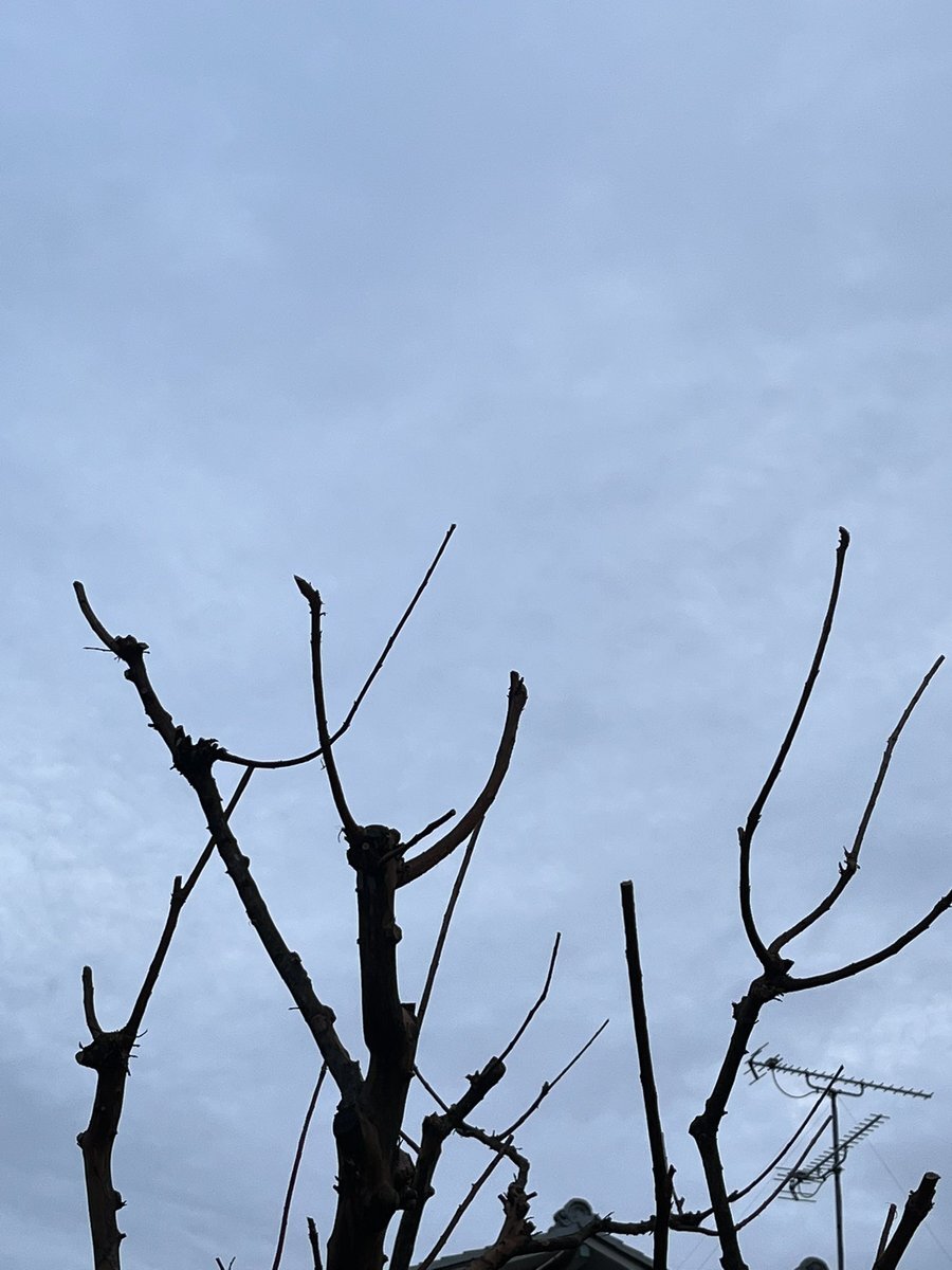 クリスマスイブ、曇り空で「外が暗い」と話題に