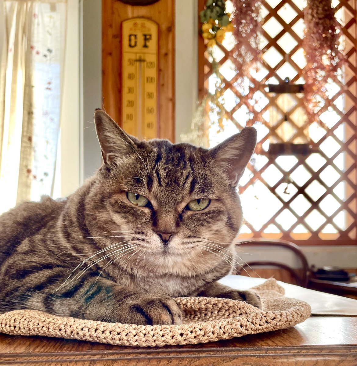 サカナクション山口一郎、YouTube障害で配信延期に