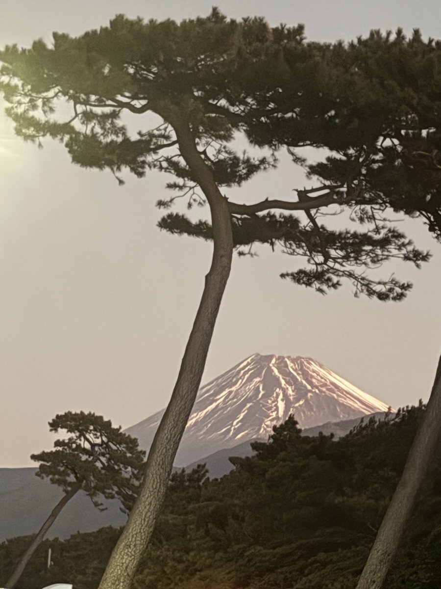 自転車運転違反罰金、厳罰化の声も　Twitterで議論白熱