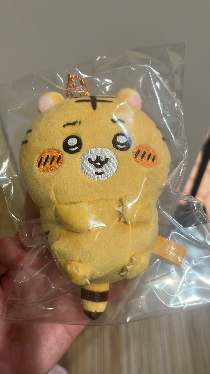山田　たぬきだもんくじ　C賞　1888 たぬきだもんくじ C賞 古本屋➕モモンガ - メルカリ