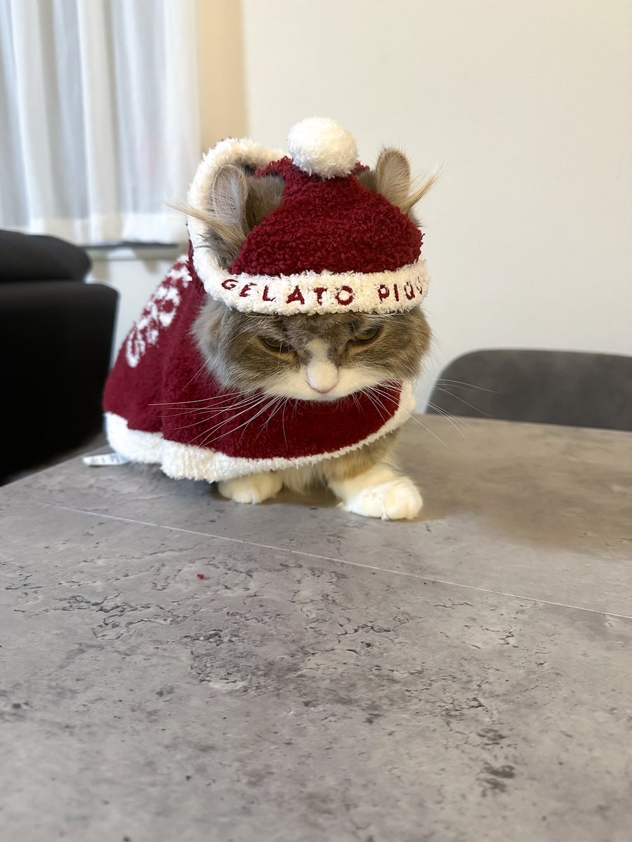 コストコ スティッチ」のYahoo!リアルタイム検索 - X（旧Twitter）を