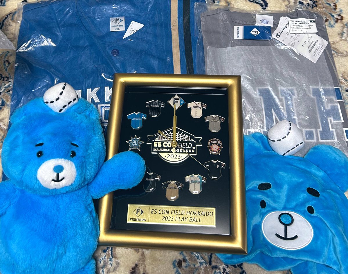 夏のオンラインくじ　メモリアル限定グッズ賞　ファイターズ万年筆セット 夏のオンラインくじ メモリアル限定グッズ賞 ファイターズ万年筆