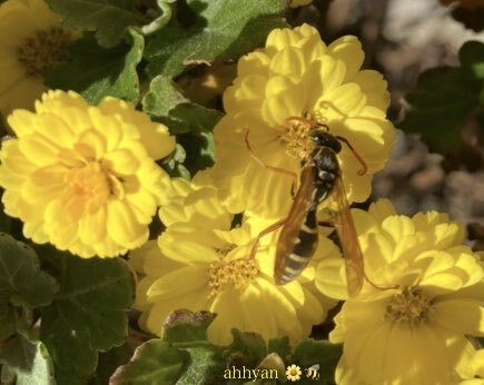 12月スタート！SNSで「体調に気を付けて」の声が多数