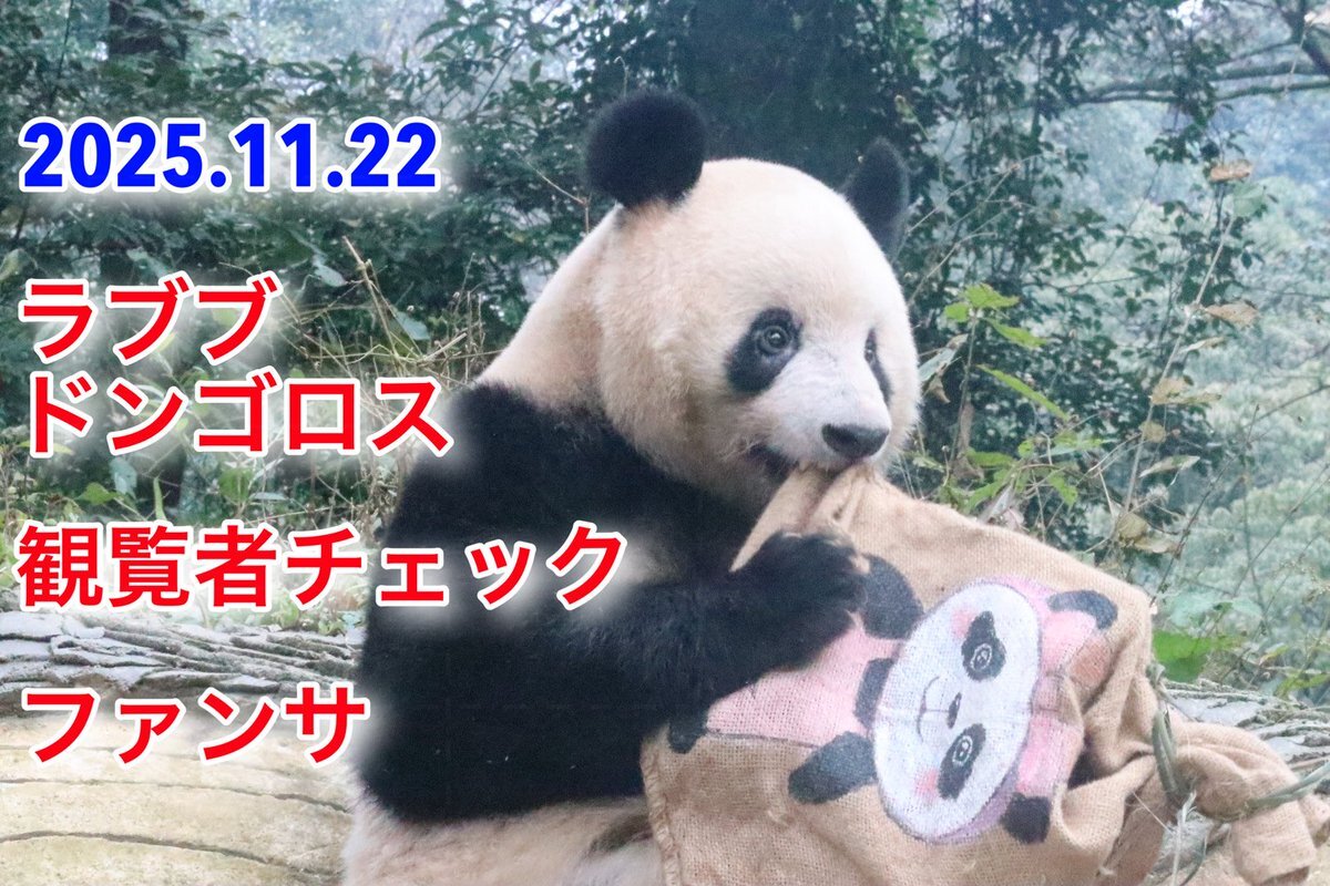 ラブブ　好きな方は見て下さい。 Labubu🧡🩷💛 みんなは何色持ってるかな？ #labubu トップス