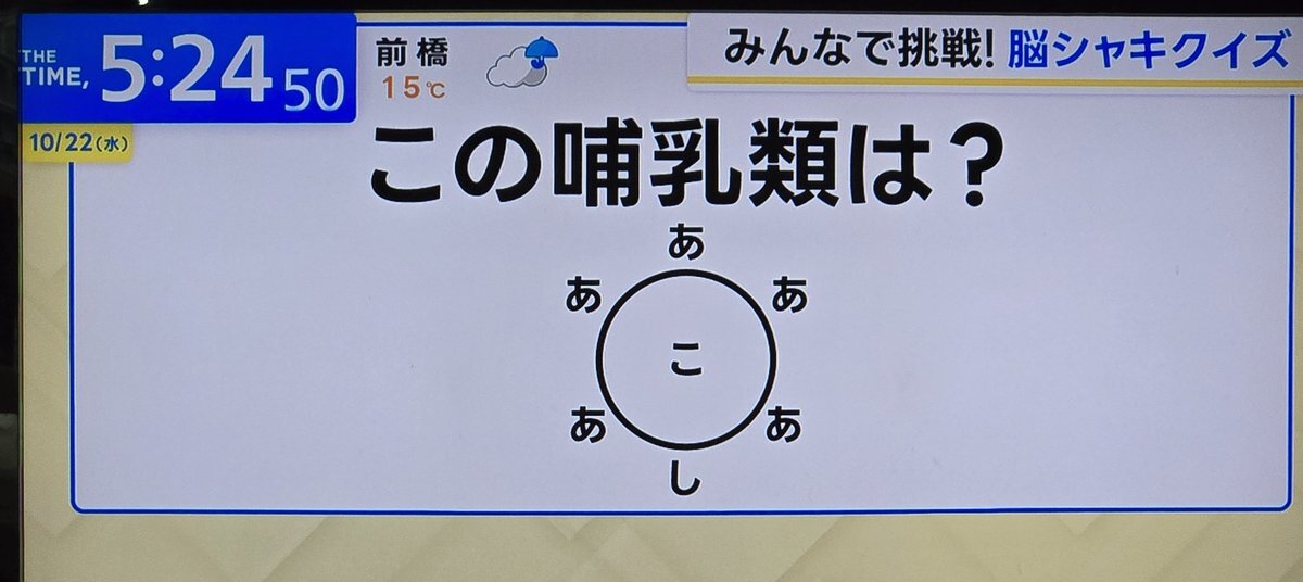脳シャキクイズ、アルマジロが話題に？