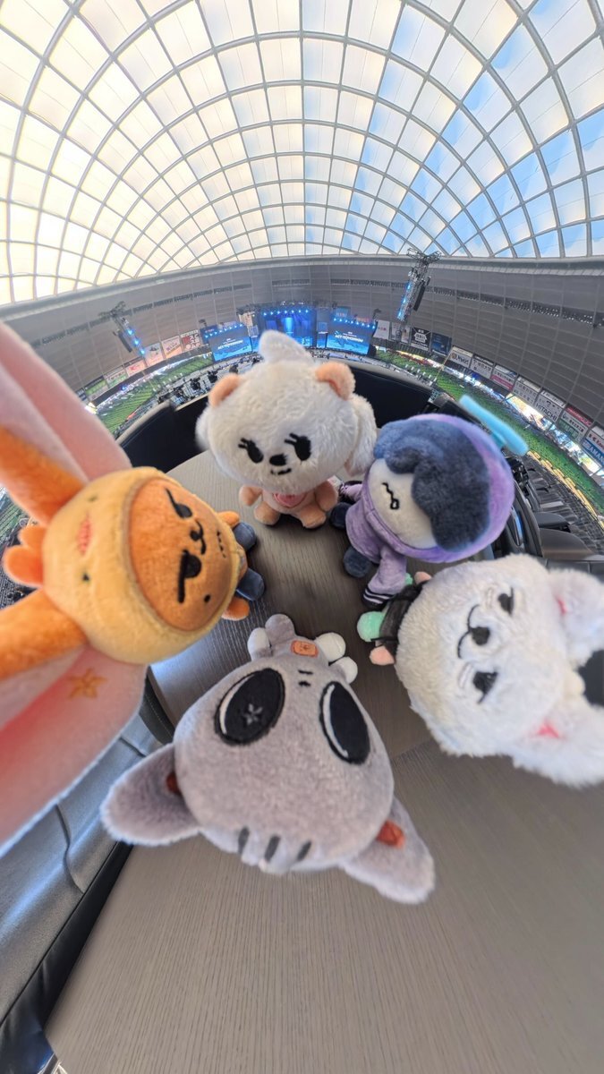 SnowMan、ドームツアー初日！ファンは一体どんな反応を見せている？