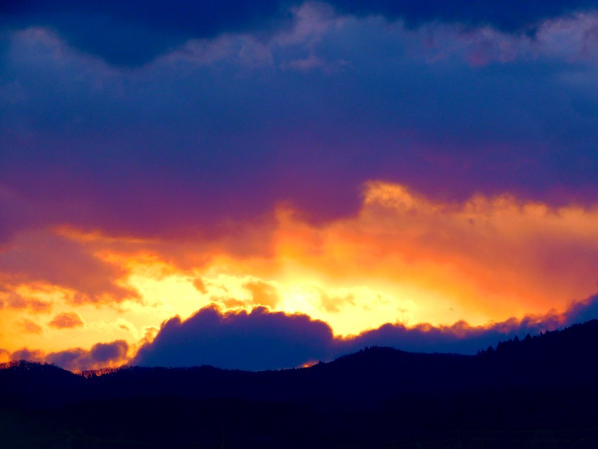松本剛選手、FA権行使へ！今後の動向に注目