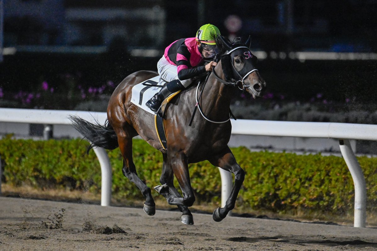 インピッシュ、惜敗！ファンは「またも2着」と嘆き