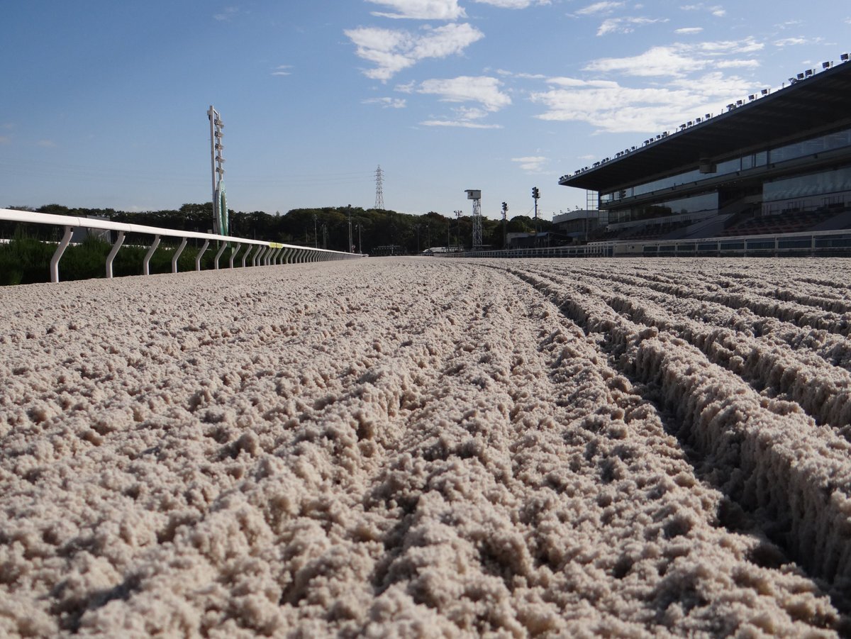 園田競馬、予想は的中した？