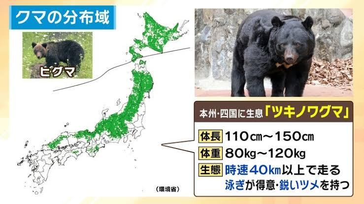 北海道猟友会、熊駆除から外してほしいと要望