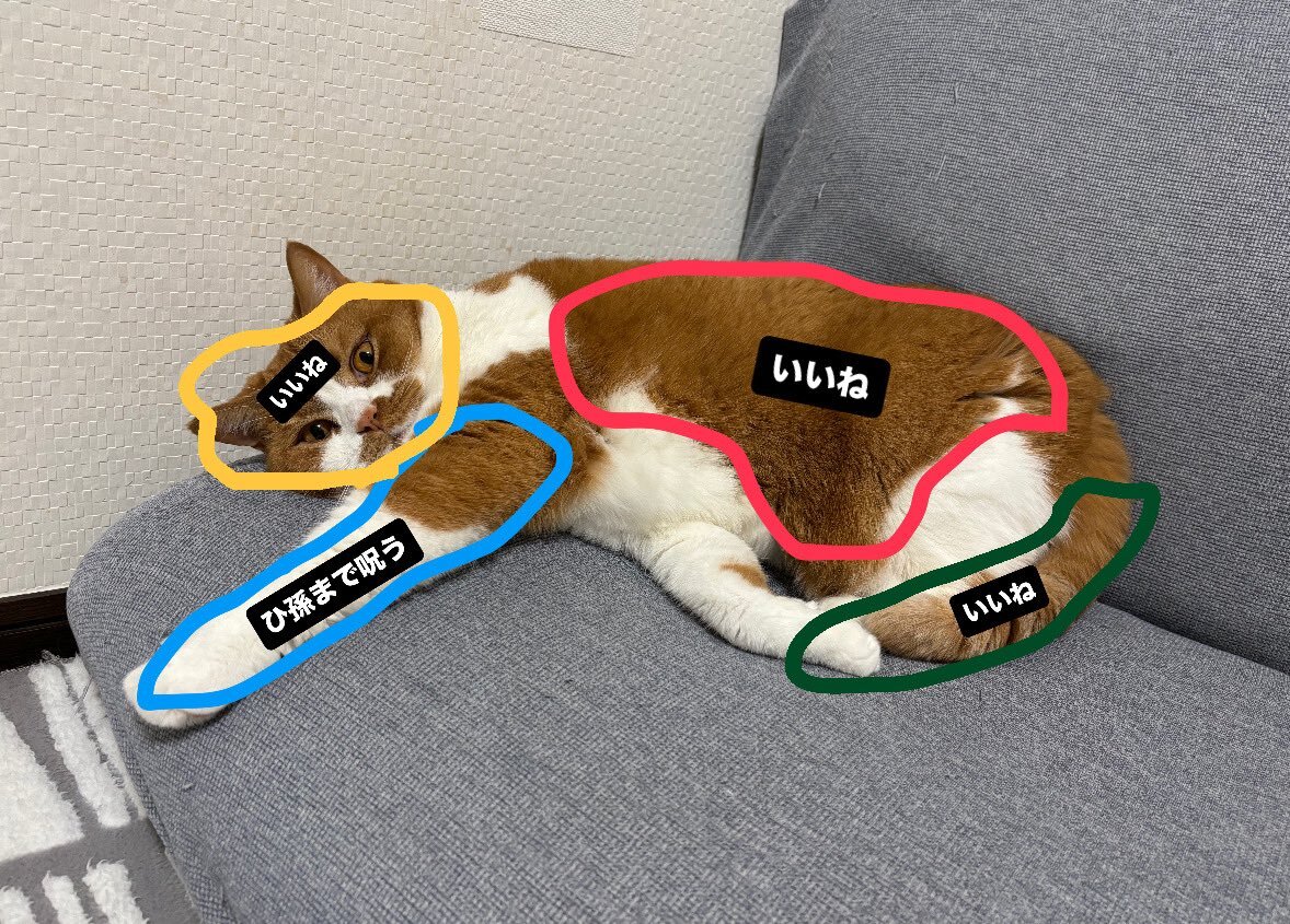 海老原鼓 ME:I レミノフェスLeminoフェス　L判ハーフサイズ生写真 ME I レミノフェス 生写真 海老原鼓｜Yahoo!フリマ（旧PayPay