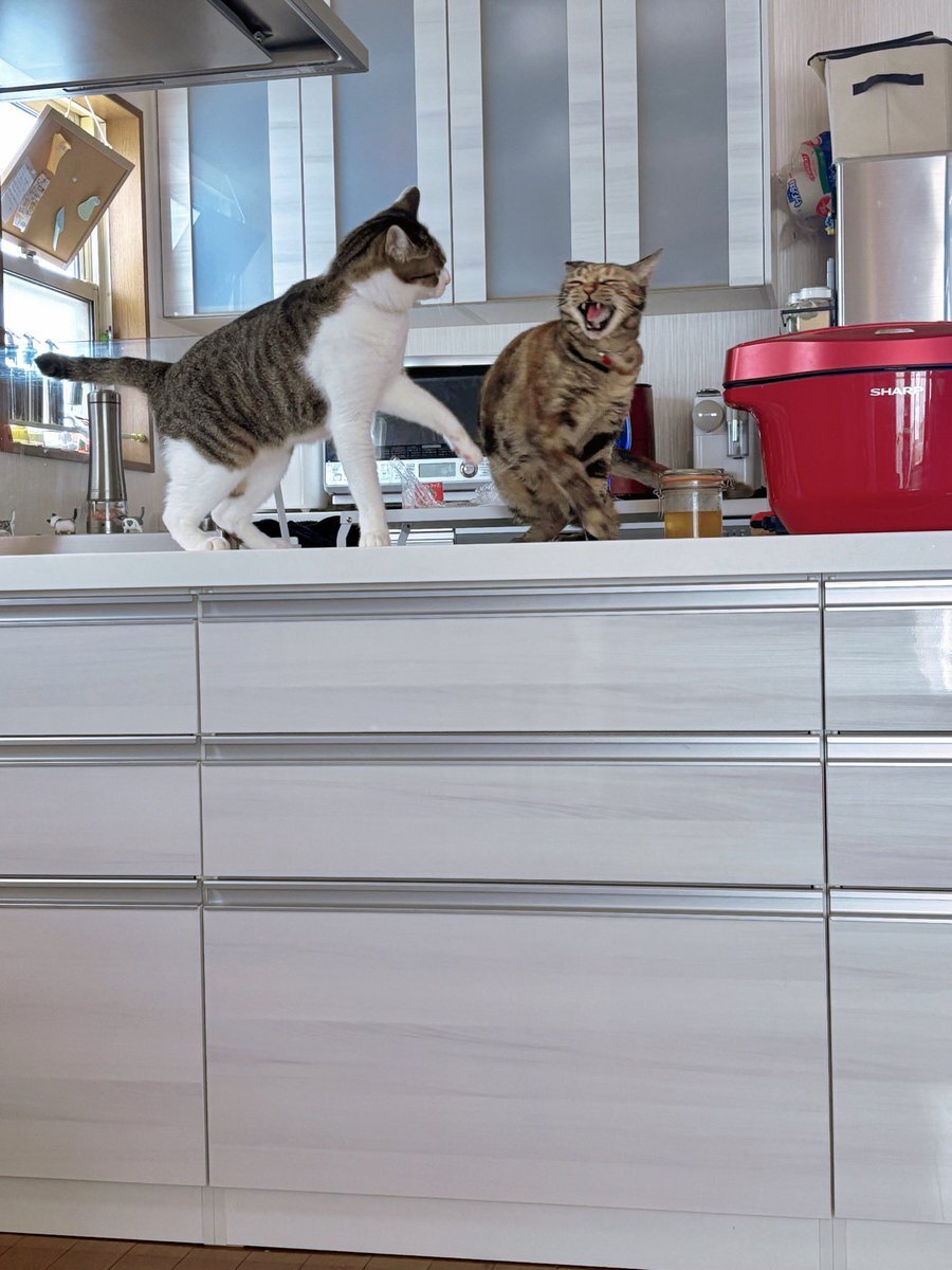 READINGWORLD 約束の鎮魂歌 約束の果て グッズフルセット 送料込！！ 約束の鎮魂歌（レクイエム） パンフレット クリアファイル ＆be