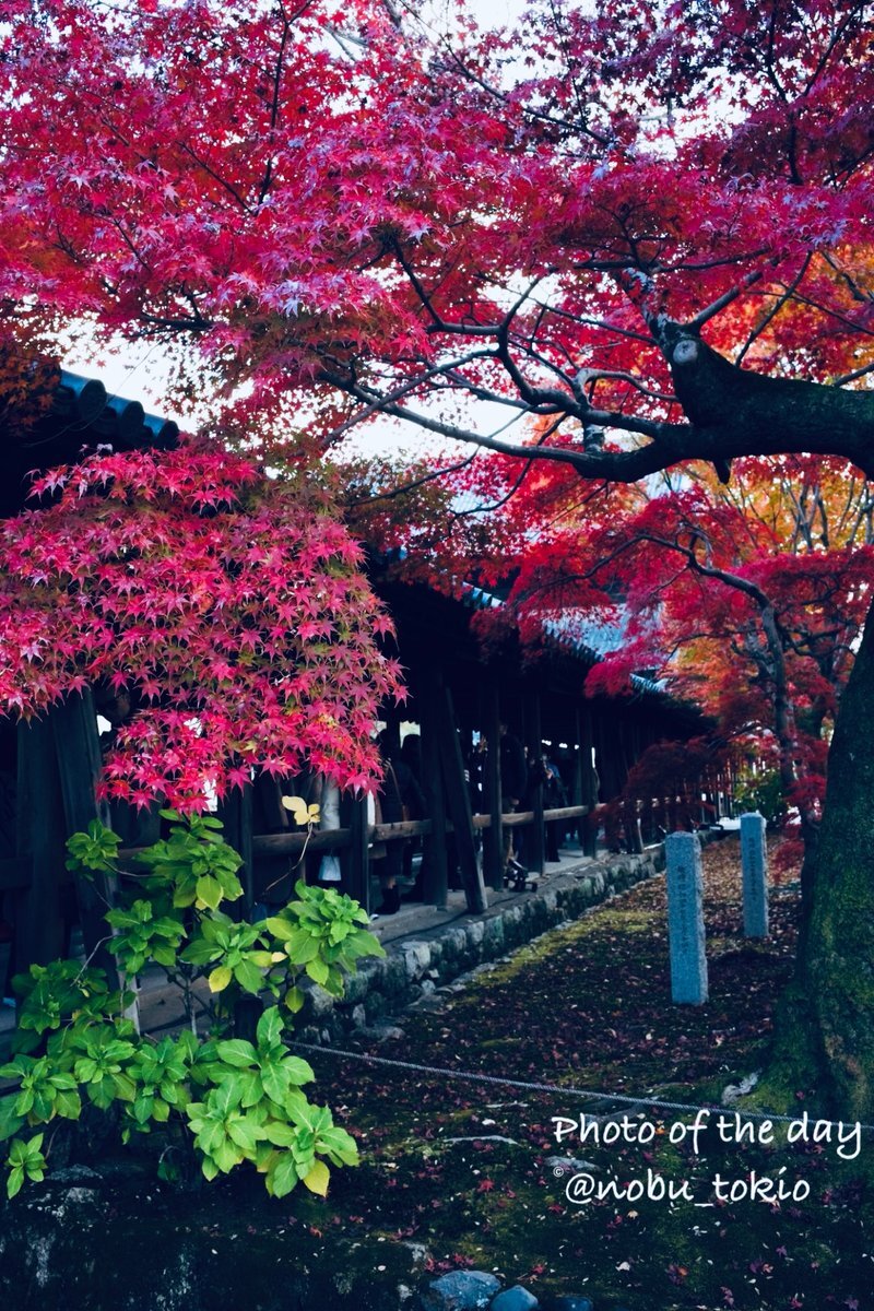 Netflix、ワーナー・ブラザース買収で動画配信市場に衝撃