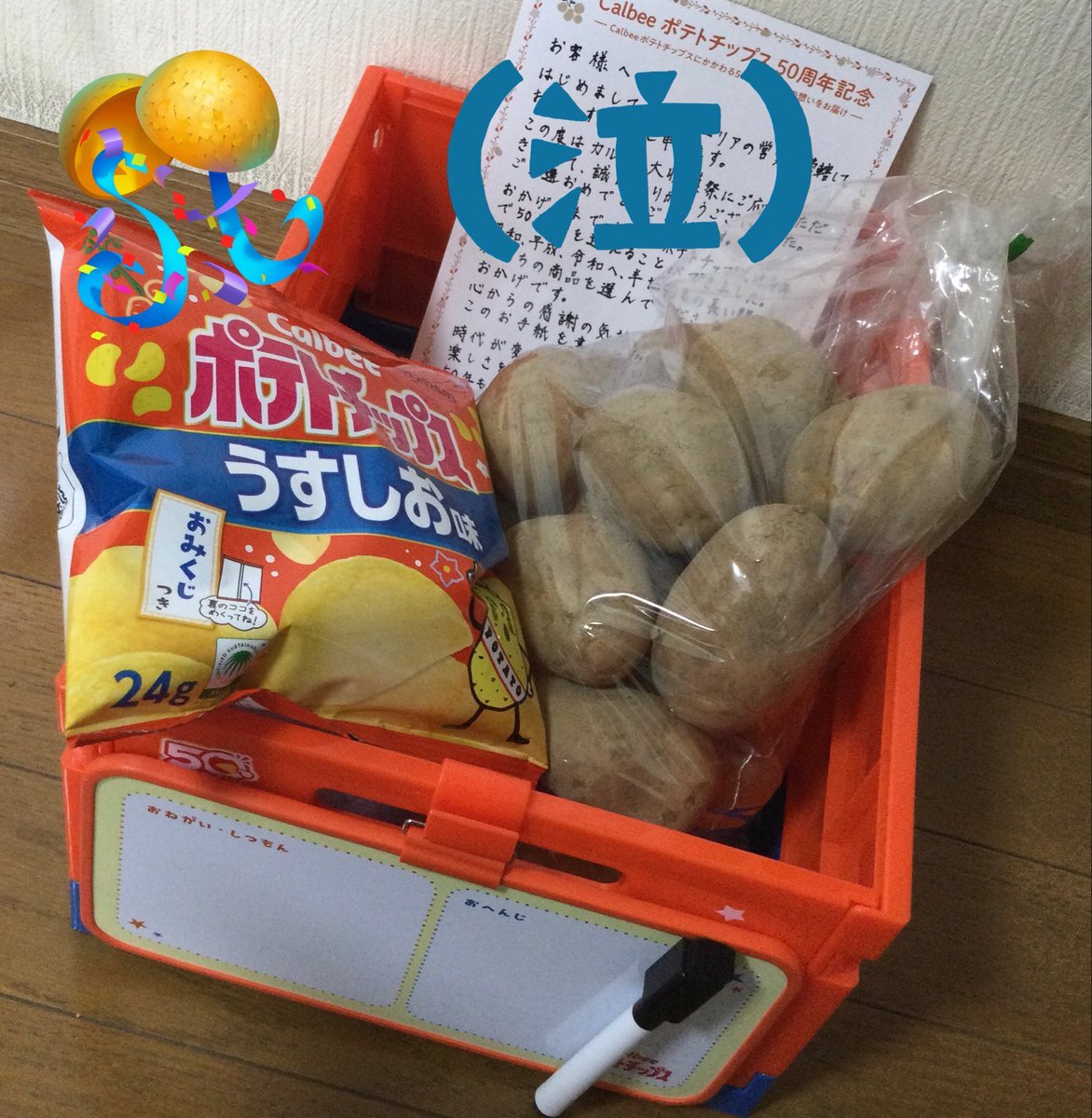 赤丸 ゼットファーザーブラザーズ 汎用 チョビ風防スクリーン（単品