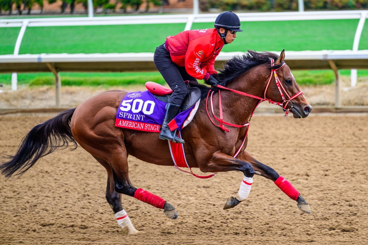 アメリカンステージ、BCスプリントで活躍なるか？