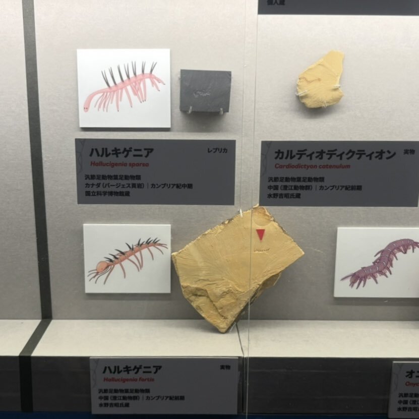 松村北斗の演技に視聴者メロメロ？