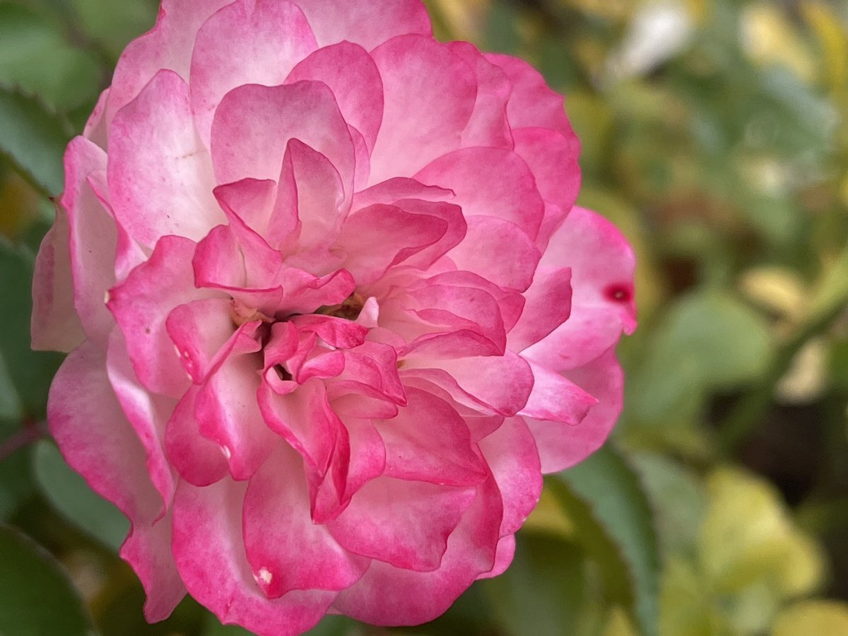 連休の始まりにSNSは笑顔で溢れる