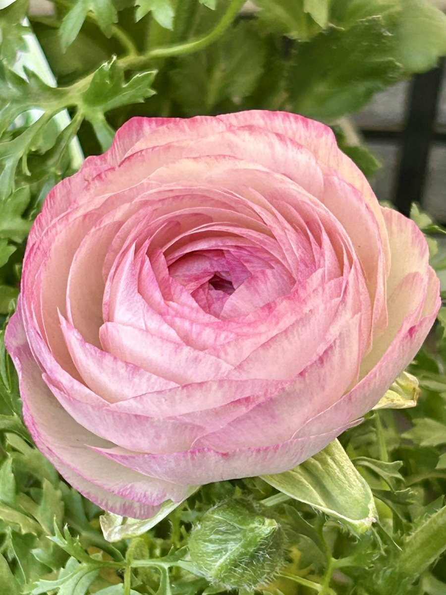 青森県東方沖地震、SNSで被害状況や心配の声