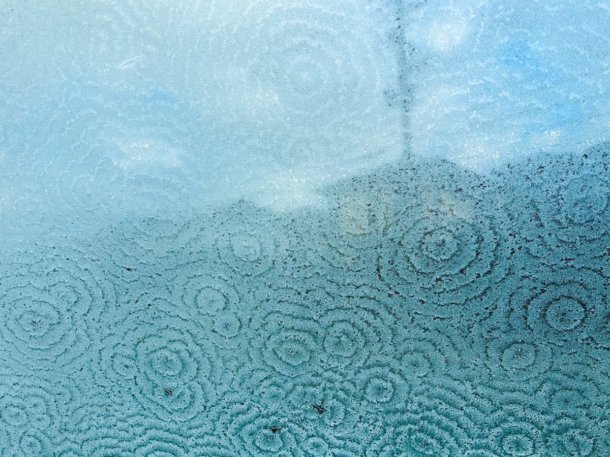 正門良規、感性あふれるブログ更新にファン「沼にハマる」