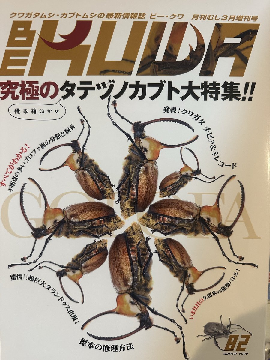 むし社」のYahoo!リアルタイム検索 - X（旧Twitter）をリアルタイム検索