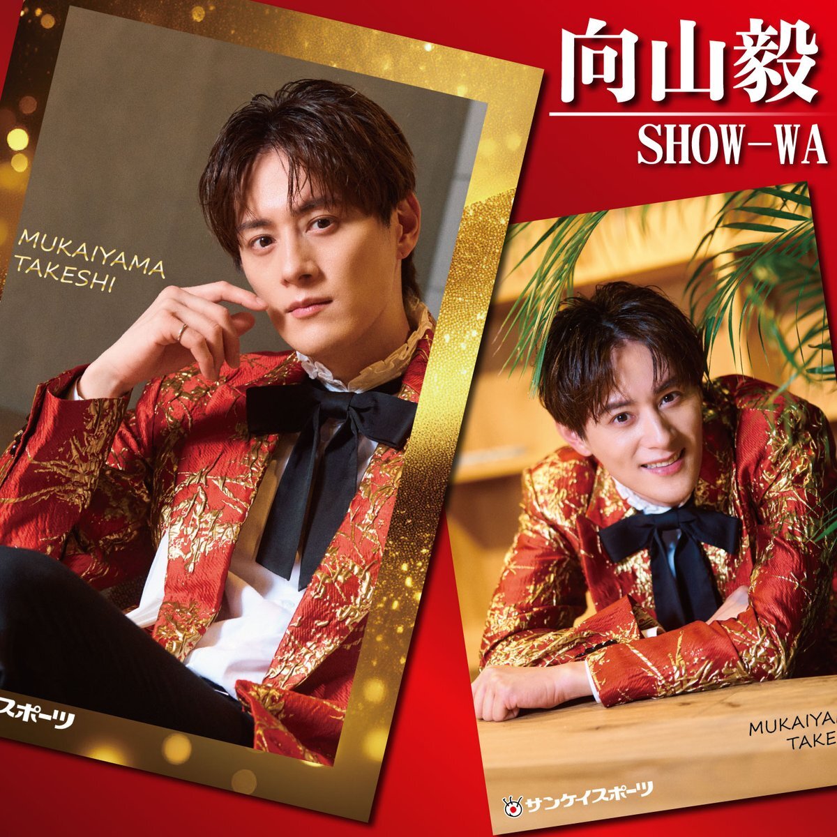 向山毅SHOW-WA まとめ売りグッズラッキーコインレア