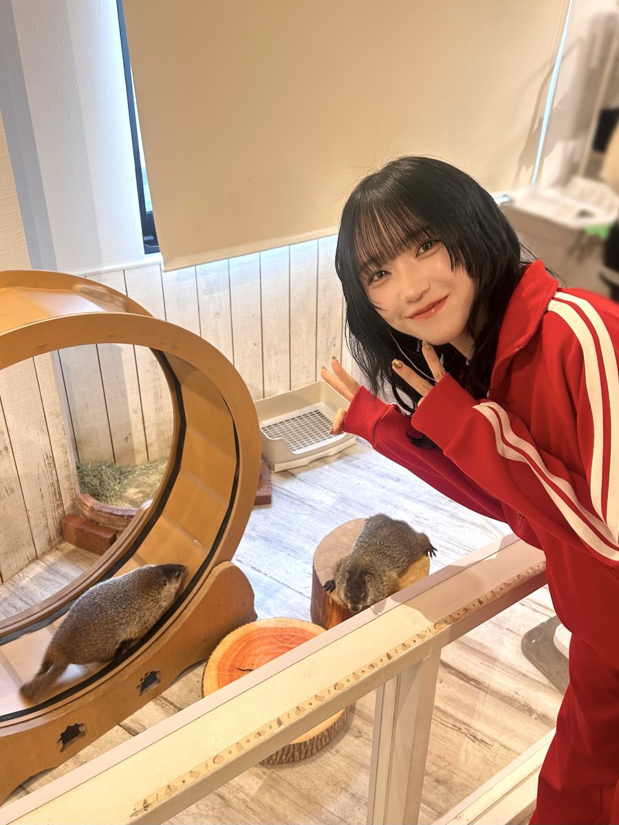 マーモット村がSNSで話題に！その魅力とは？